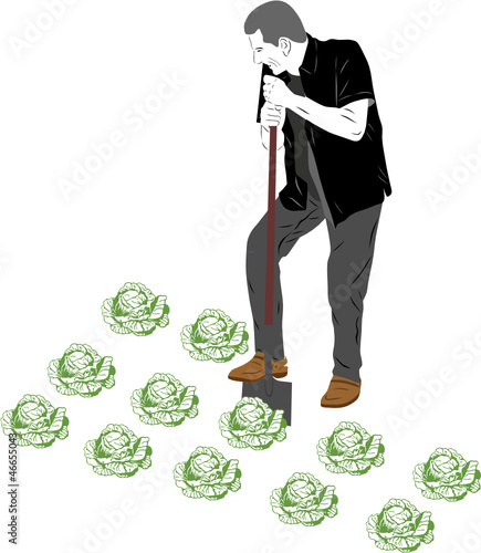 JARDINIER ET SES LEGUMES