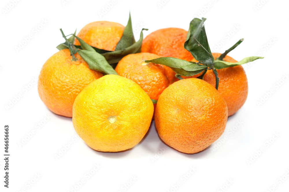 clémentines clémentines