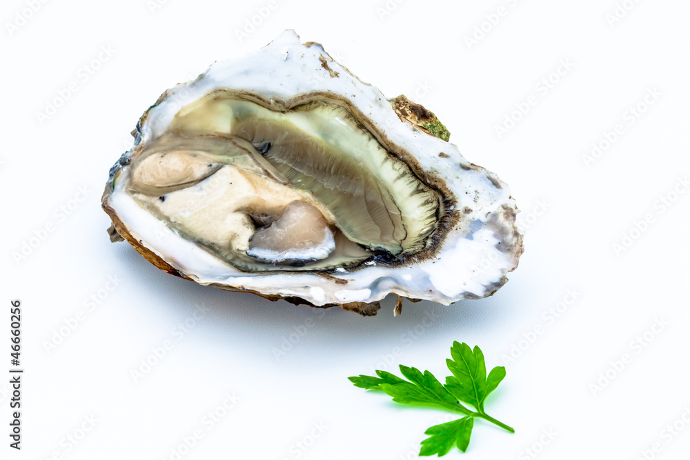 One oyster One oyster