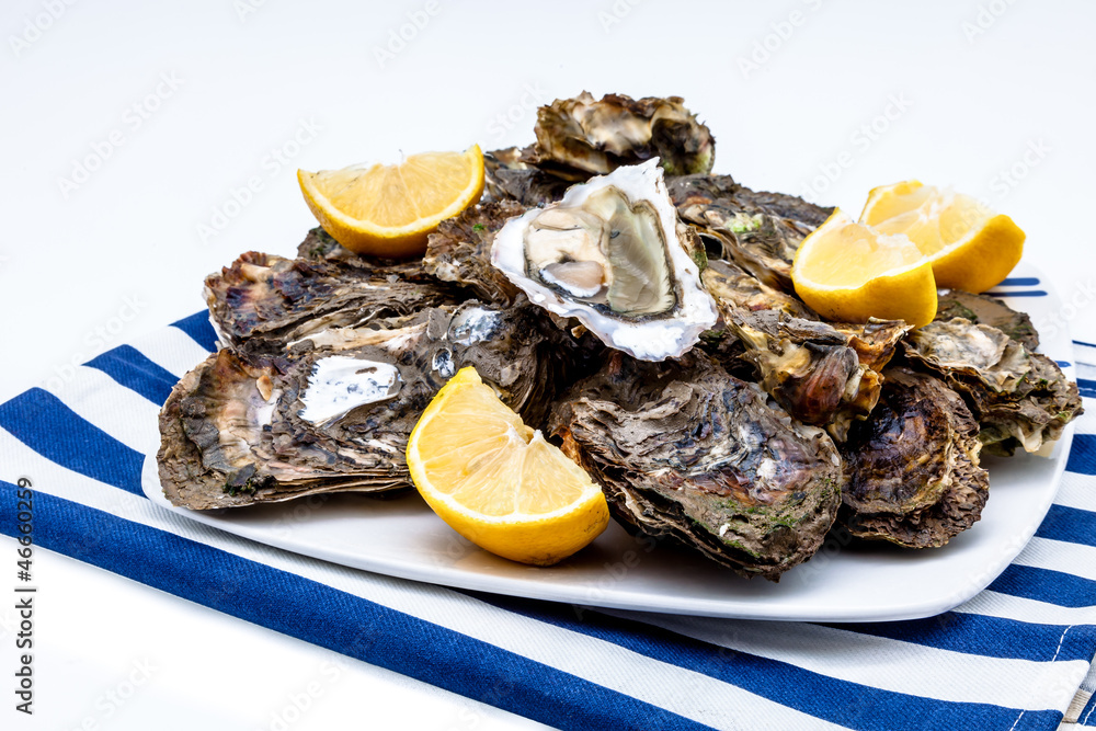 Oysters Oysters