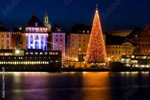 Christmas tree in Stockholm City at night.