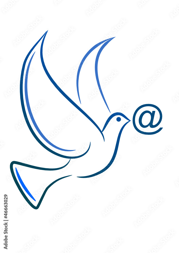 Obraz premium Pigeon at