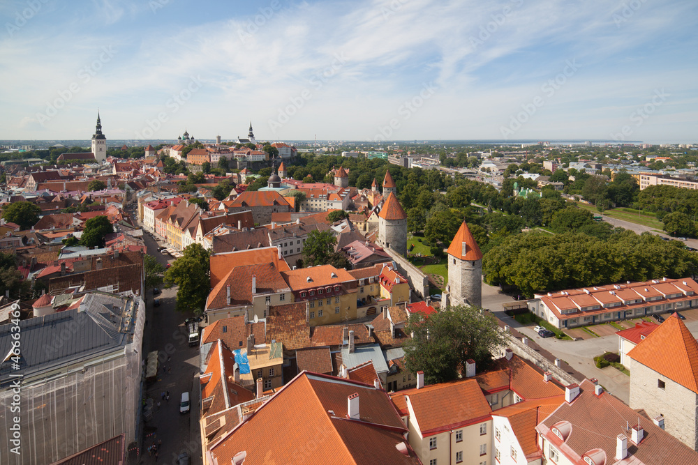 Tallinn. A kind on an old city from Church Oliviste