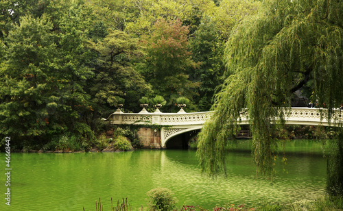 Central Park, New York City photo