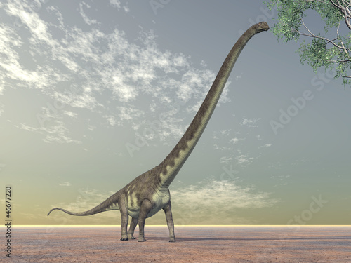 Dinosaur Mamenchisaurus © Michael Rosskothen