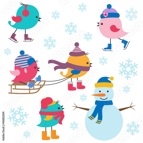 Cute birds winter