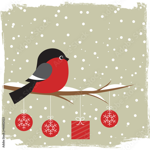 Winter card with bullfinch