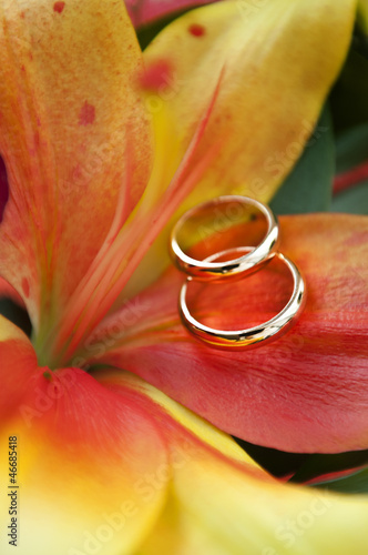 Bild auf Leinwand wedding rings3