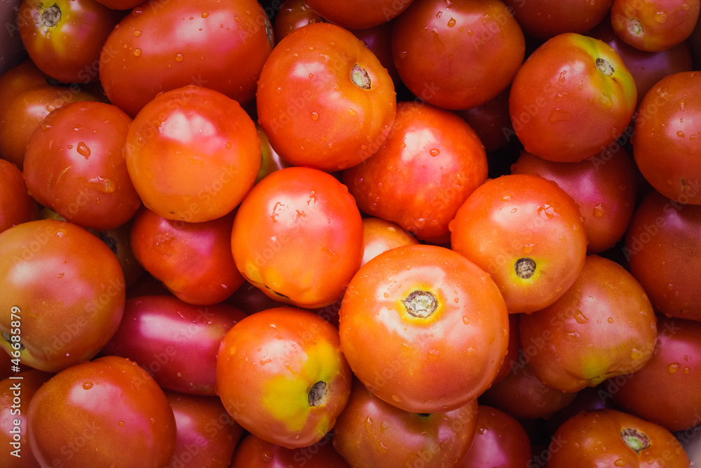 Organically grown frech red cherry tomatoes background Organically grown frech red cherry tomatoes background