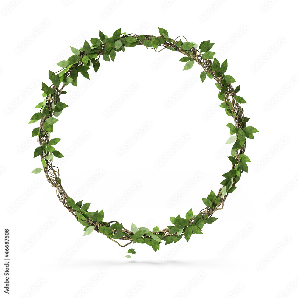 Circle of green leafs Circle of green leafs