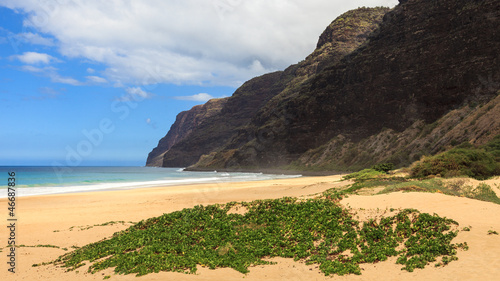 Polihale State Park in Kauai photo