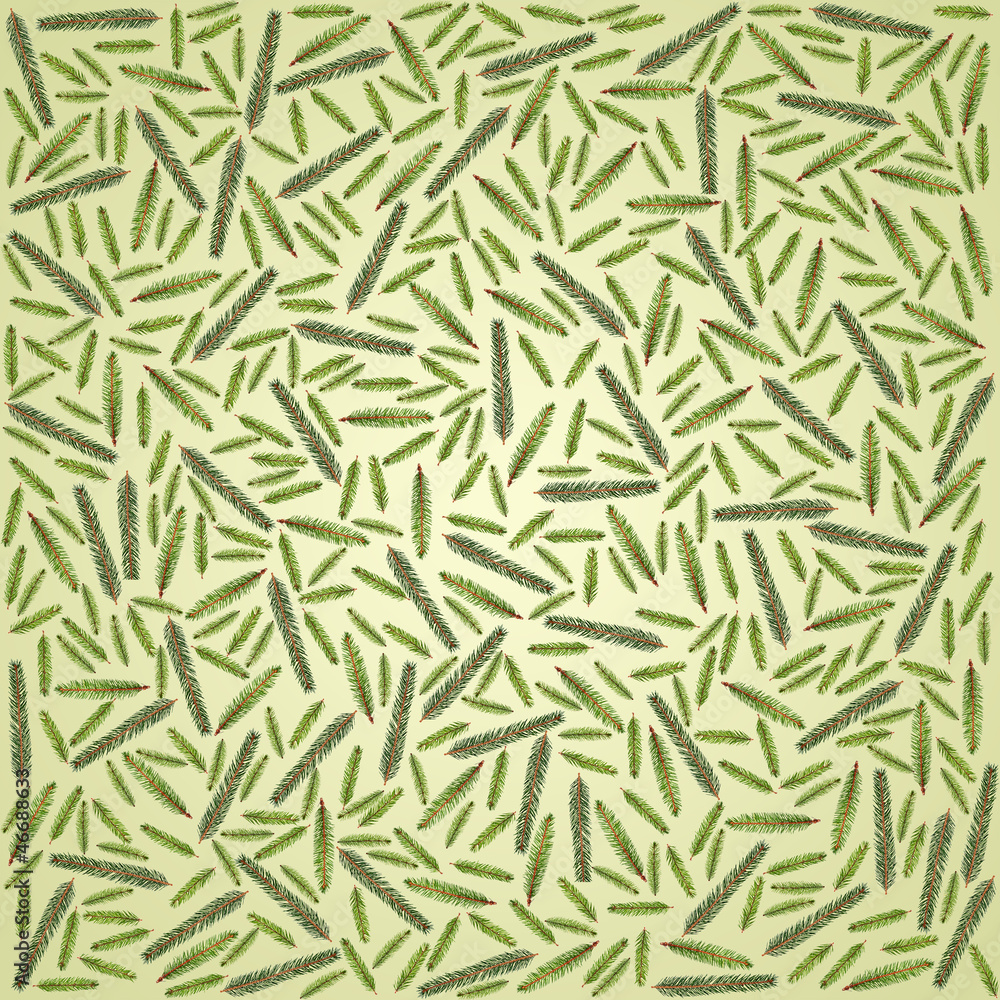 Fototapeta premium Fir tree branches background