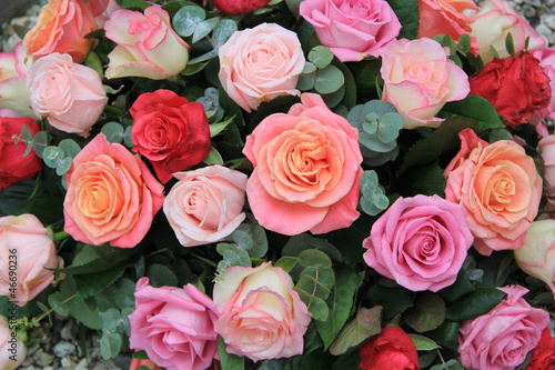 Roses in different shades of pink