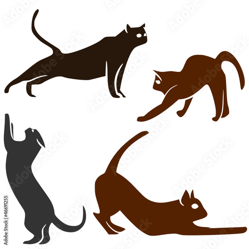 Chats étirements