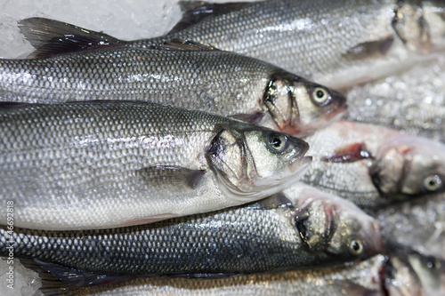 fresh fish on ice at market photo