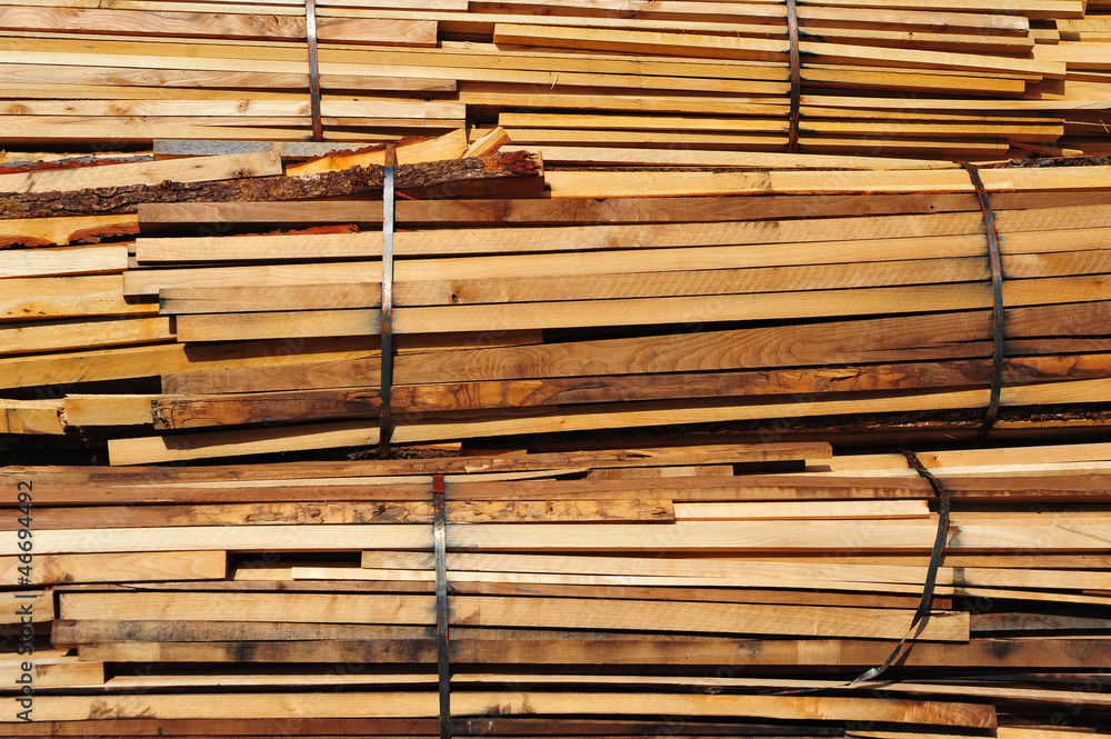 Fototapeta premium Brennholzbündel