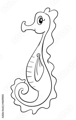 a sea horse