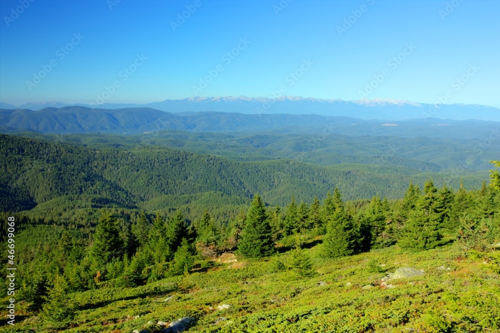 Naklejka premium Rodopi_7.1