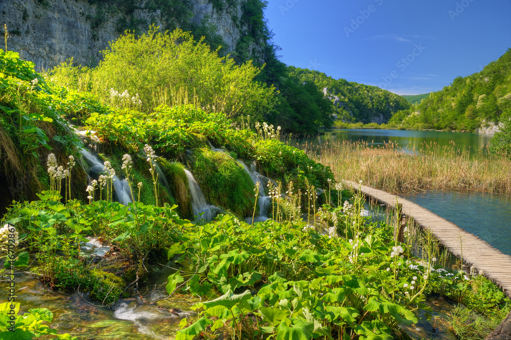 Fototapeta premium Plitvice Lakes National Park, Croatia