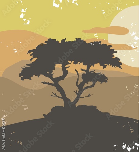 Pine tree, vintage illustration