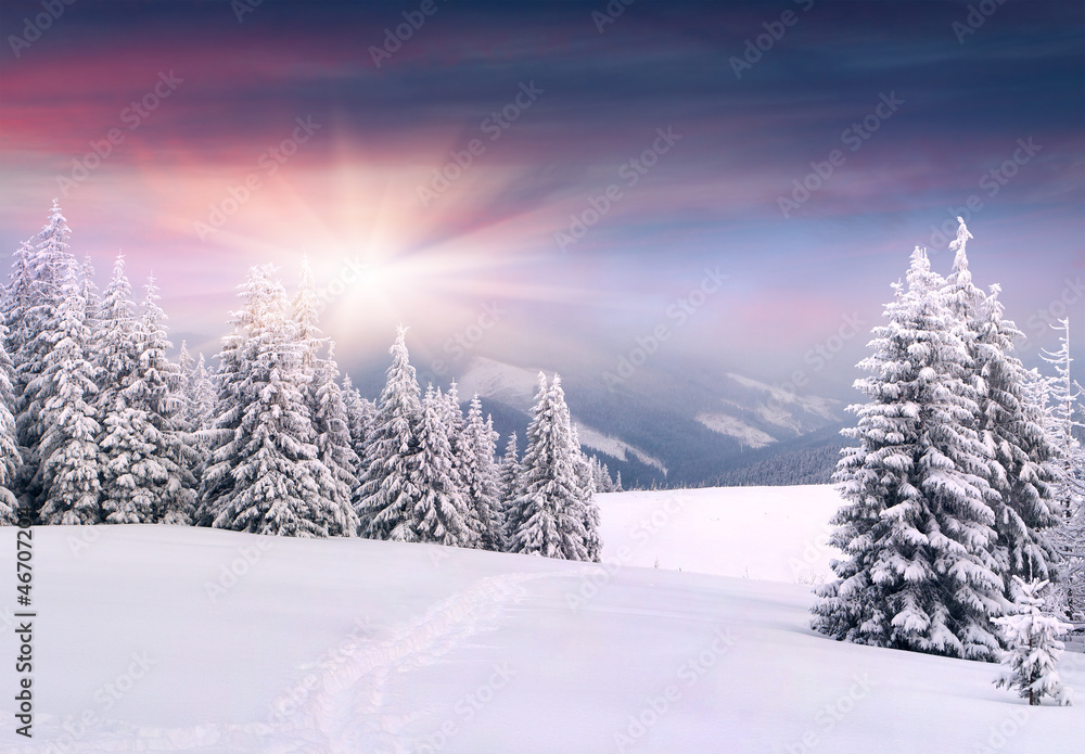 Beautiful winter landscape in the mountains. Sunrise - obrazy, fototapety, plakaty 