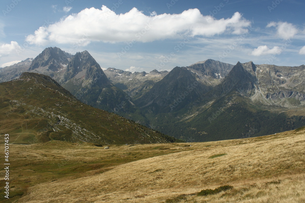 alpine meadows in French Alps near Chamonix