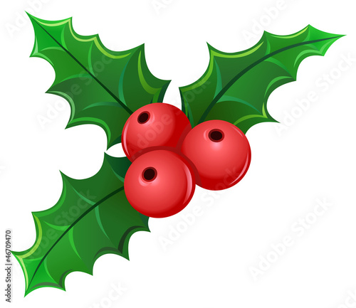 Mistletoe