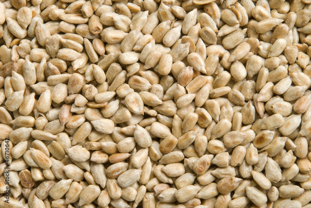 Sunflower Seeds Sunflower Seeds