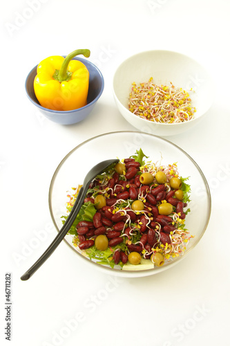 Beans Salad, Germs and Yellow Pepper photo