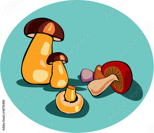 Mushrooms