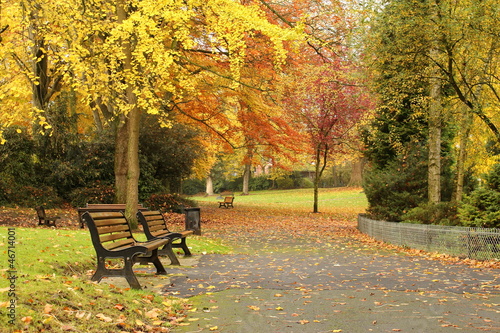 Parc d'automne. Feuillage jaunes et oranges . Chute de feuilles.  Valenciennes France. photo