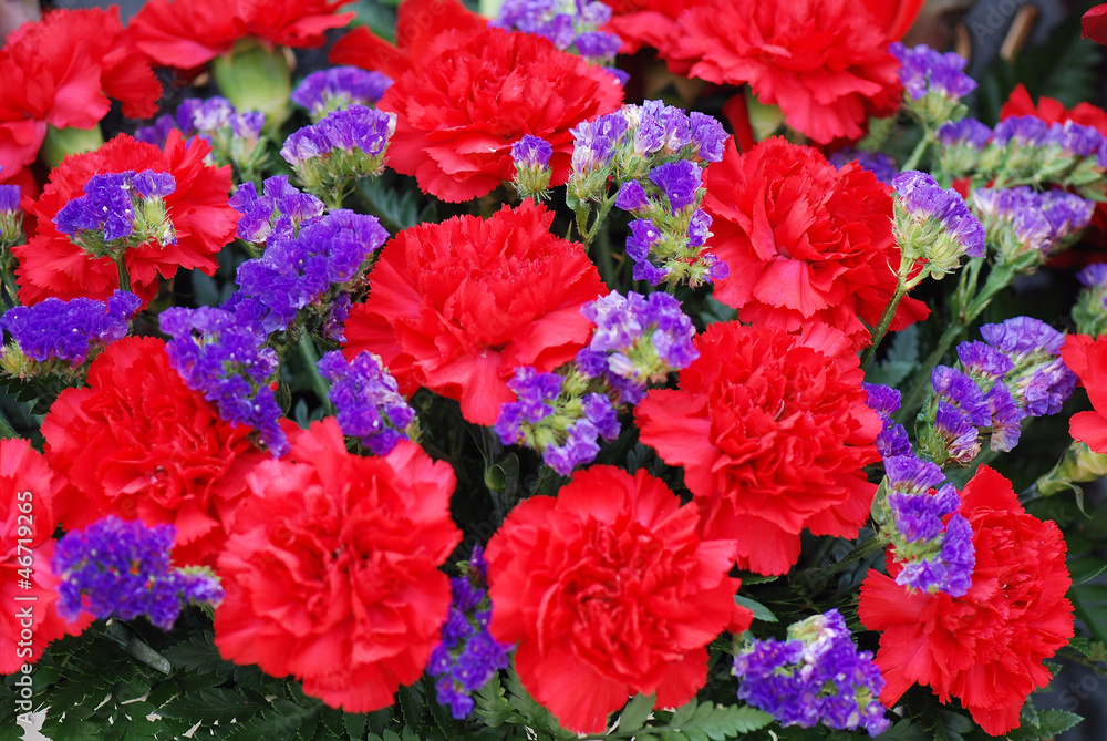 Details 100 imagen flores rojas y moradas