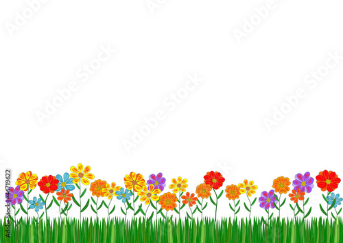 Blumenwiese, Rasen, Gras, Blumen