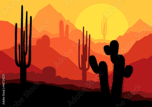 Cactus plants in Mexico desert sunset vector