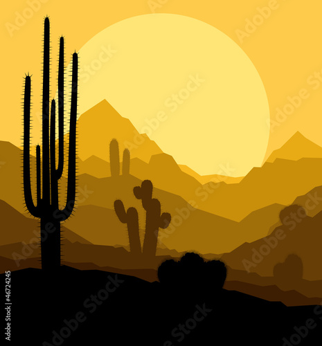 Cactus plants in Mexico desert sunset vector