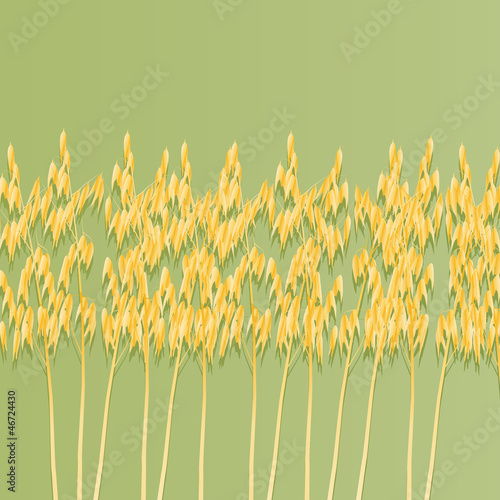 Oats background vector