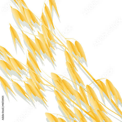 Oats background vector