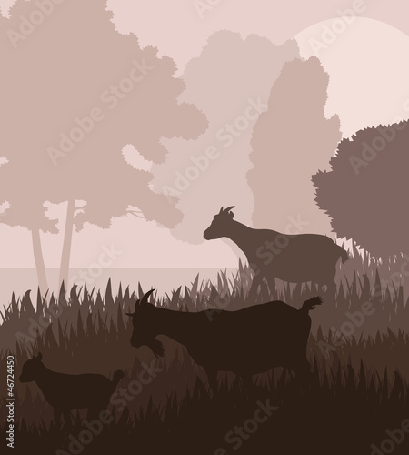 Farm dairy goats vector background in a field