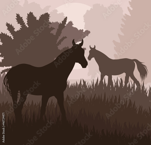 Horses in field vector background