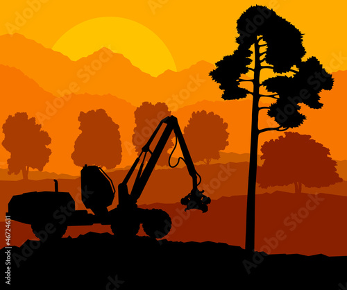 Forest cut down landscape with wood