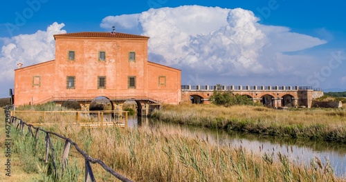 Riserva Naturale di Diaccia Botrona