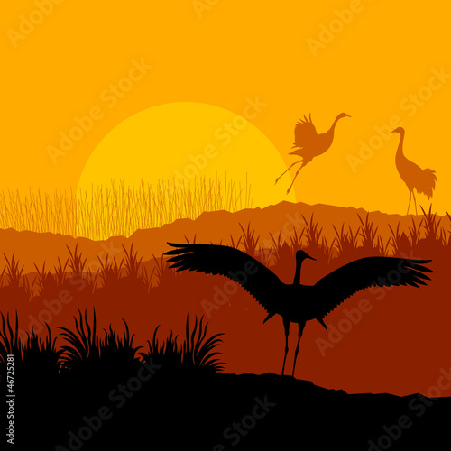 Crane flying in wild mountain nature landscape © kstudija