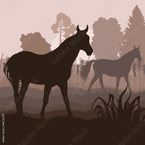Horses in field vector background