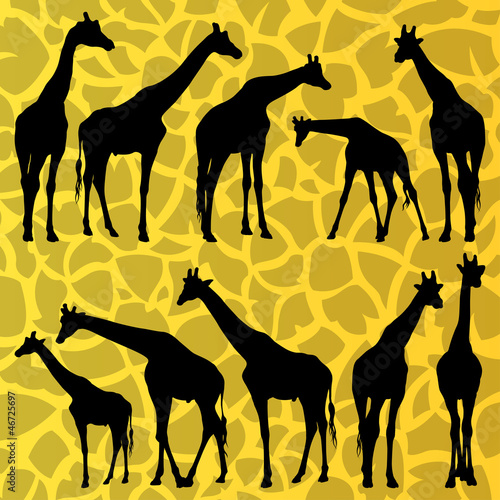 Giraffe detailed silhouettes illustration collection