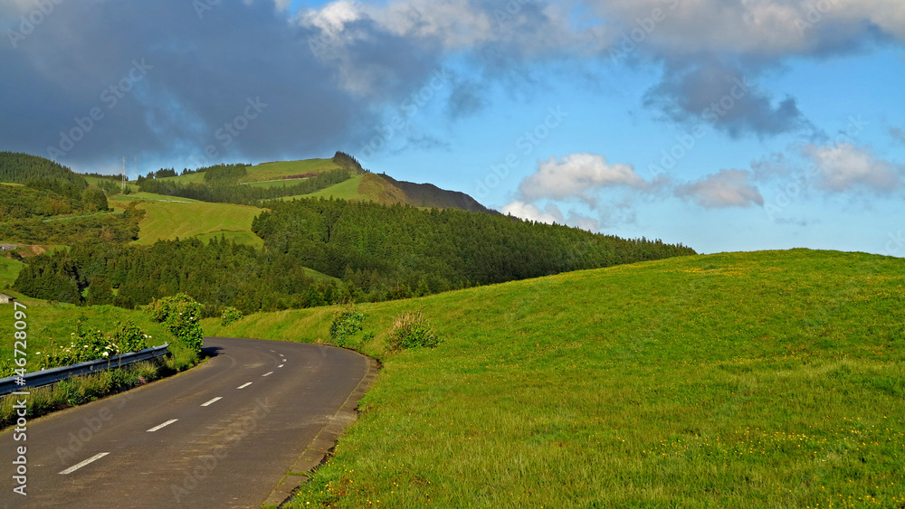 Obraz premium ROAD IN THE AZORES