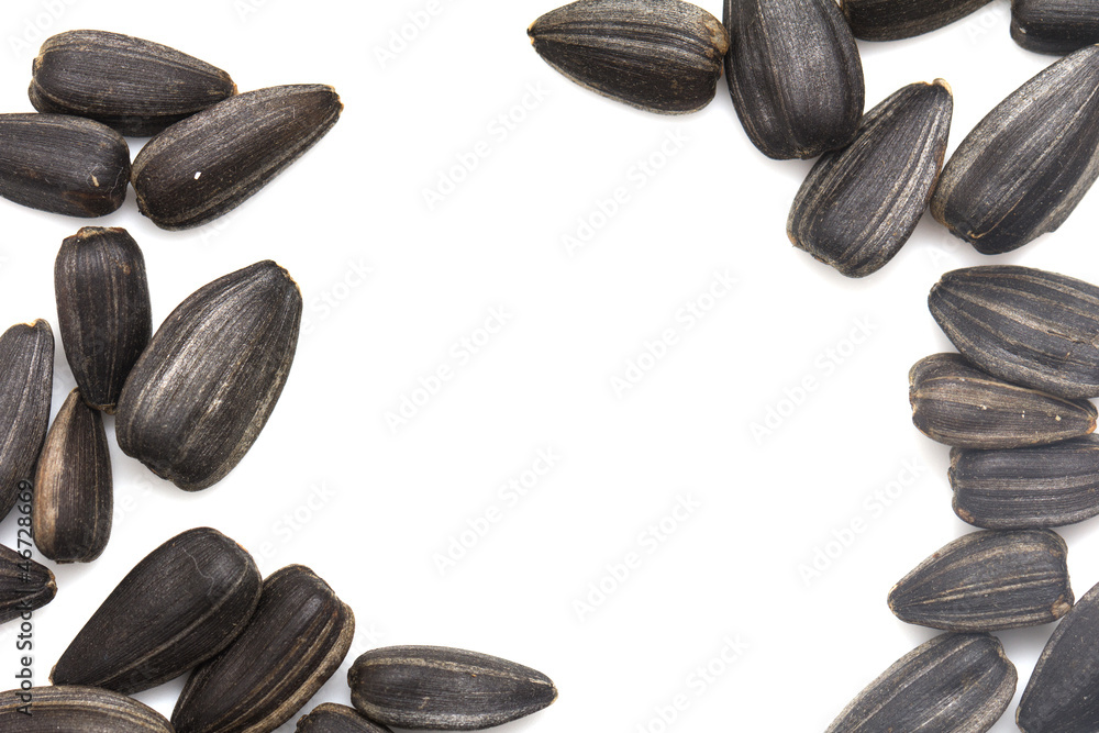 black seeds on a white background. macro black seeds on a white background. macro