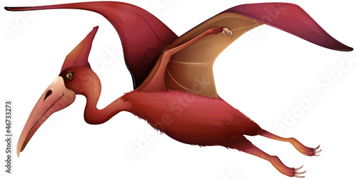 flying pterosaur