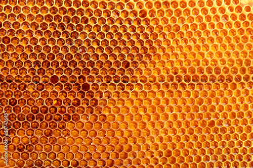 yellow beautiful honeycomb with honey, background