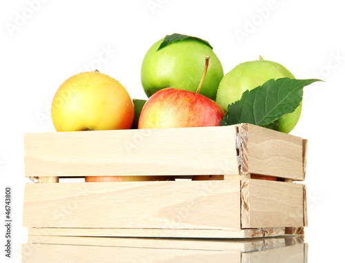 sweet apples in wooden crate, isolated on white