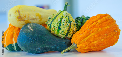 Squash